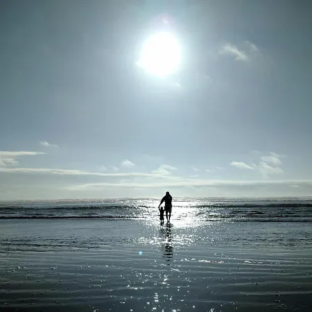 Apartman White Pearl 0.08